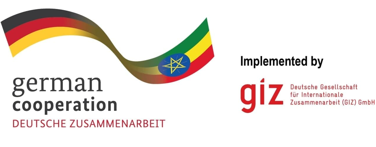 GIZ German Cooperation Logo