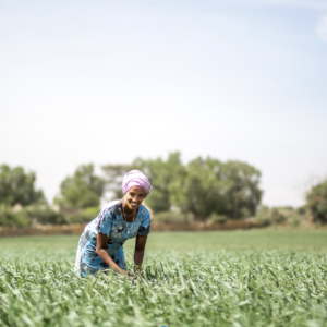 “Don’t forget about us”from Women’s Consultation on the Digital Provision of Agro-climate Advisory Services
