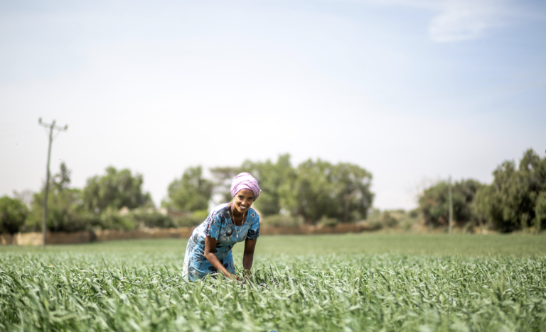 “Don’t forget about us”from Women’s Consultation on the Digital Provision of Agro-climate Advisory Services