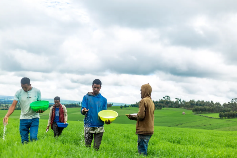 Unlocking access to finance through bundling of “NextGen” Advisory with agriculture services: Lersha’s lessons from the field 🧑‍🌾